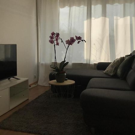 סאן לואיס Bel Appartement Near Bale Mulhouse Airport מראה חיצוני תמונה