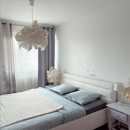 סאן לואיס Bel Appartement Near Bale Mulhouse Airport מראה חיצוני תמונה
