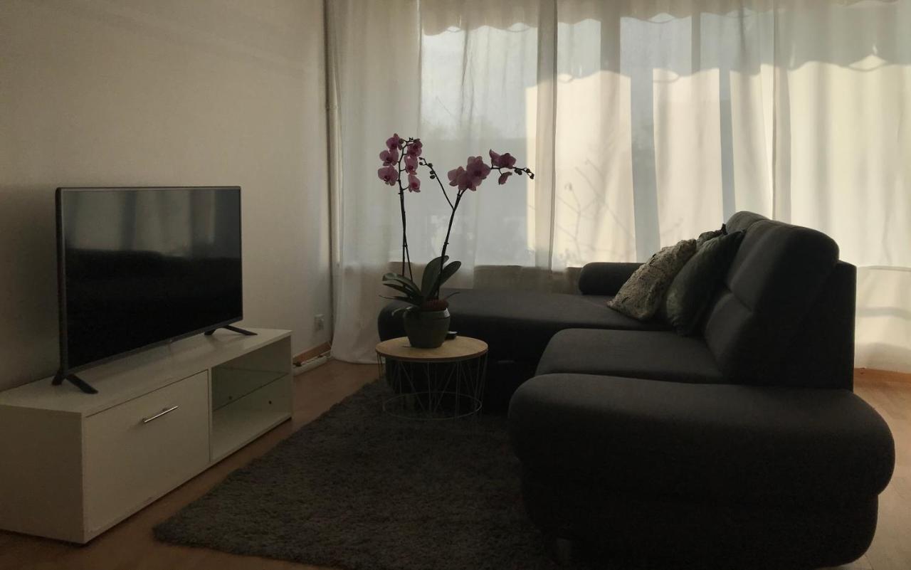 סאן לואיס Bel Appartement Near Bale Mulhouse Airport מראה חיצוני תמונה