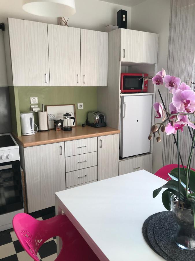 סאן לואיס Bel Appartement Near Bale Mulhouse Airport מראה חיצוני תמונה