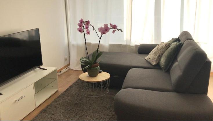 סאן לואיס Bel Appartement Near Bale Mulhouse Airport מראה חיצוני תמונה