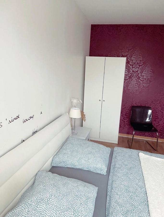 סאן לואיס Bel Appartement Near Bale Mulhouse Airport מראה חיצוני תמונה