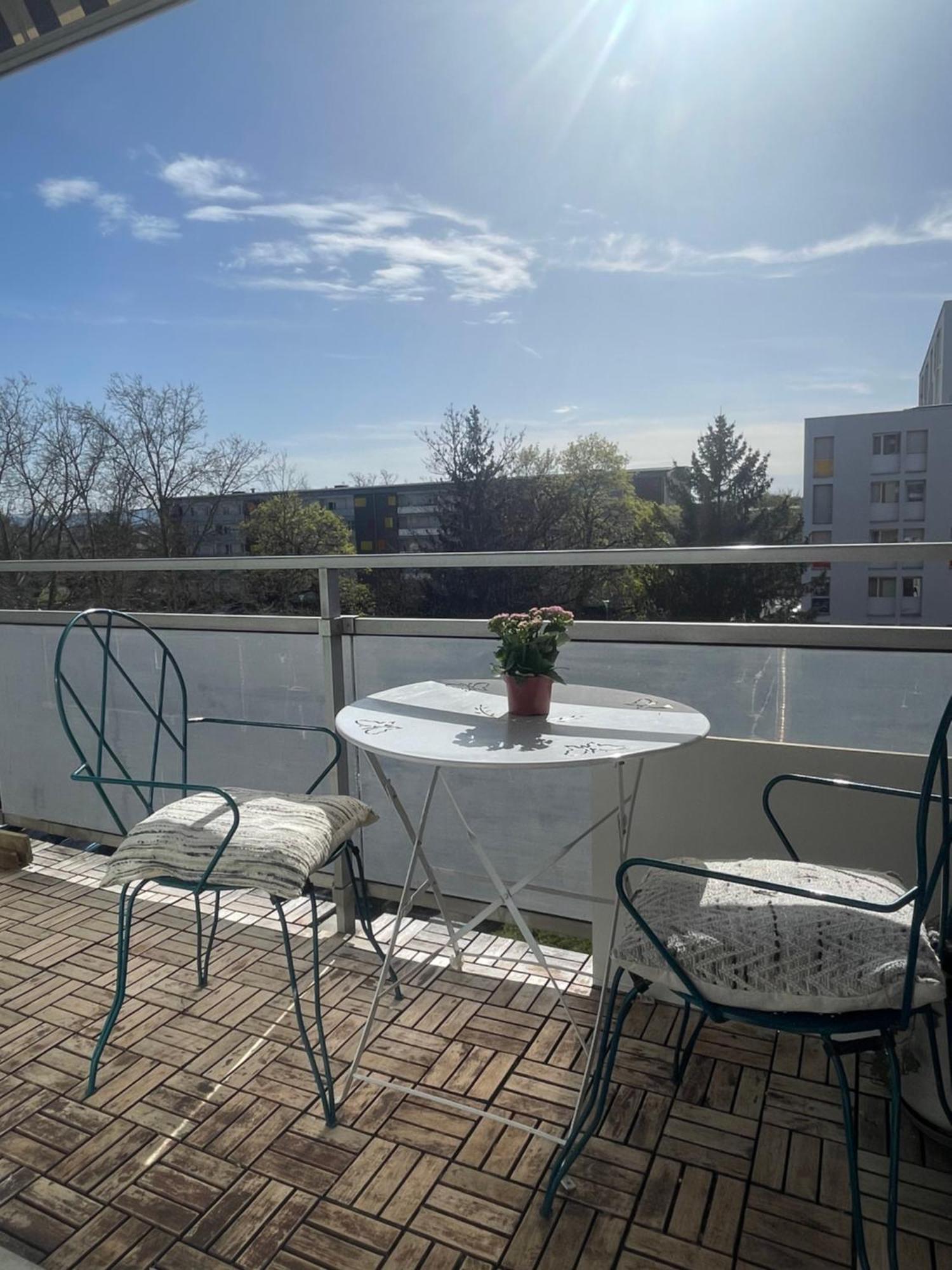 סאן לואיס Bel Appartement Near Bale Mulhouse Airport מראה חיצוני תמונה