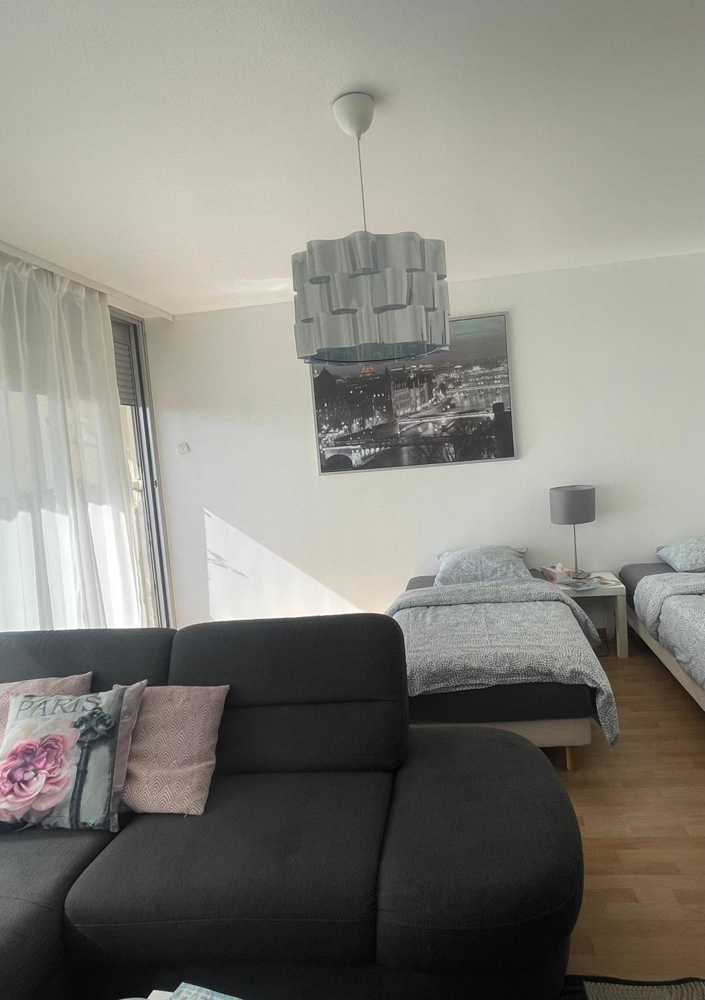 סאן לואיס Bel Appartement Near Bale Mulhouse Airport מראה חיצוני תמונה