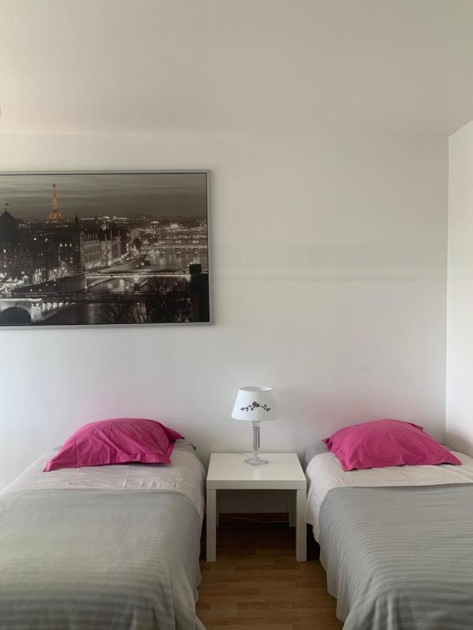 סאן לואיס Bel Appartement Near Bale Mulhouse Airport מראה חיצוני תמונה
