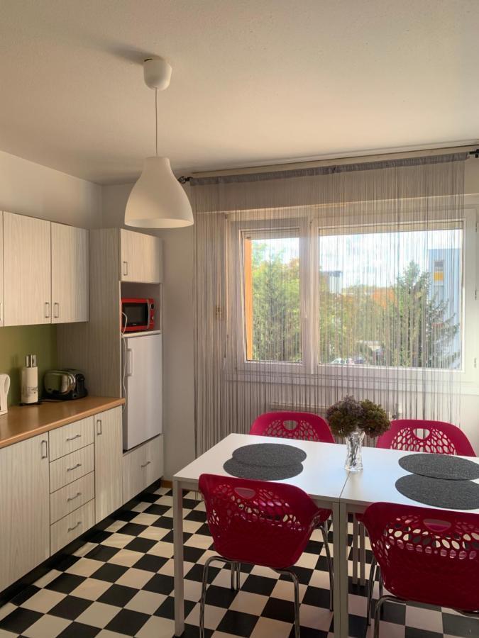 סאן לואיס Bel Appartement Near Bale Mulhouse Airport מראה חיצוני תמונה